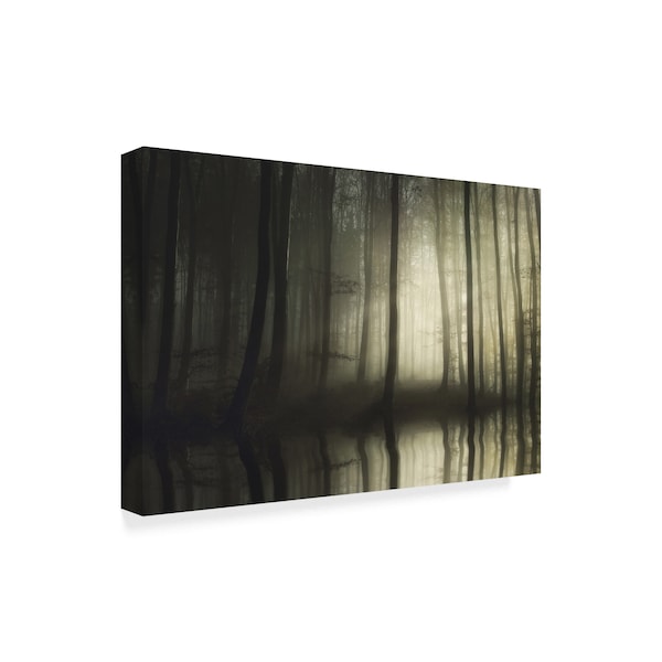 Norbert Maier 'Absolute Silence' Canvas Art,12x19